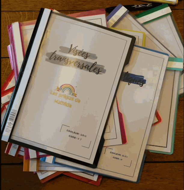 Les 16 fardes du Pack malin, classées par couleur, une par domaine d'apprentissage